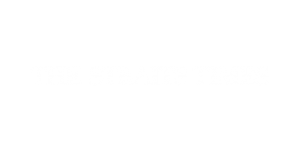 logo Straitstimes