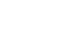 logo Msn White